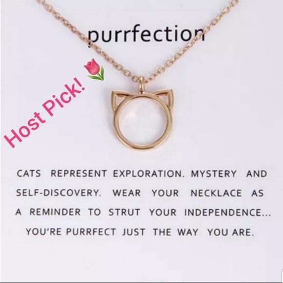 Jewelry - 🐱 Purrfect Cat Ears necklace